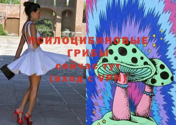 стаф Алексеевка