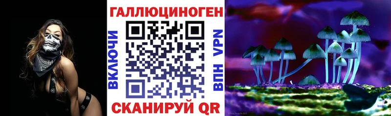 даркнет сайт Дмитриев Псилоцибиновые грибы Magic Shrooms