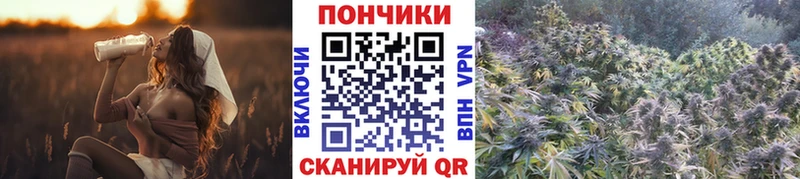 Бошки марихуана тримм Дмитриев
